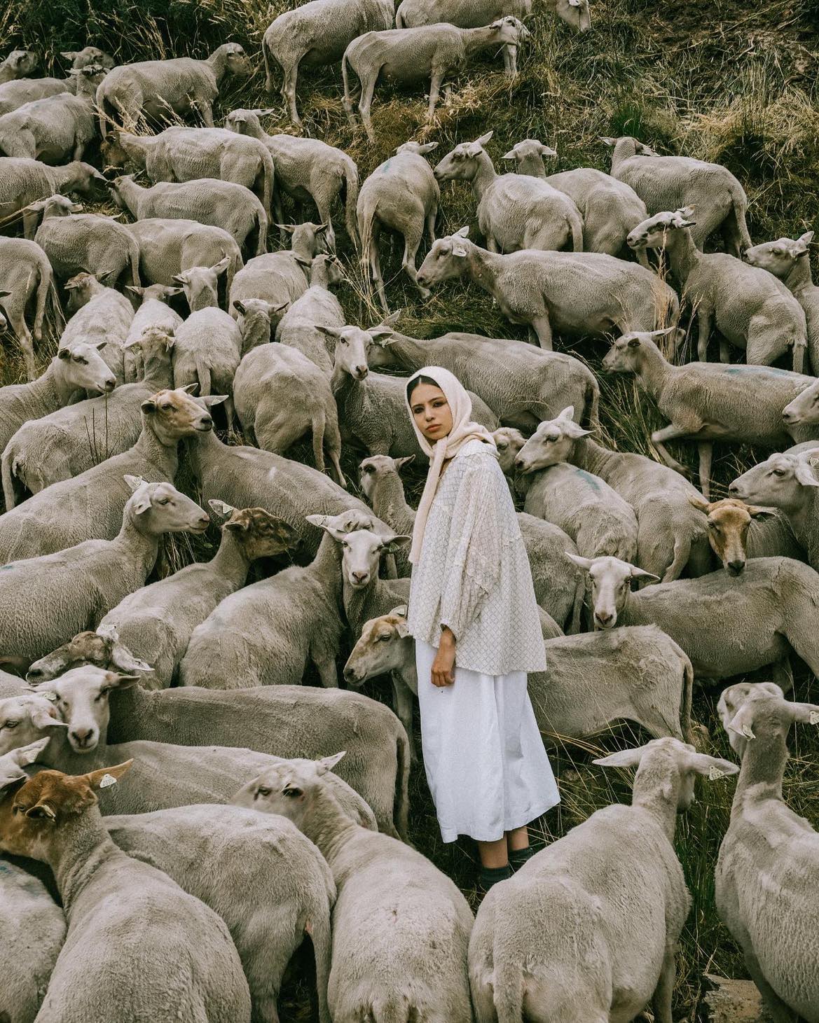 fotoshoot tussen de schapen